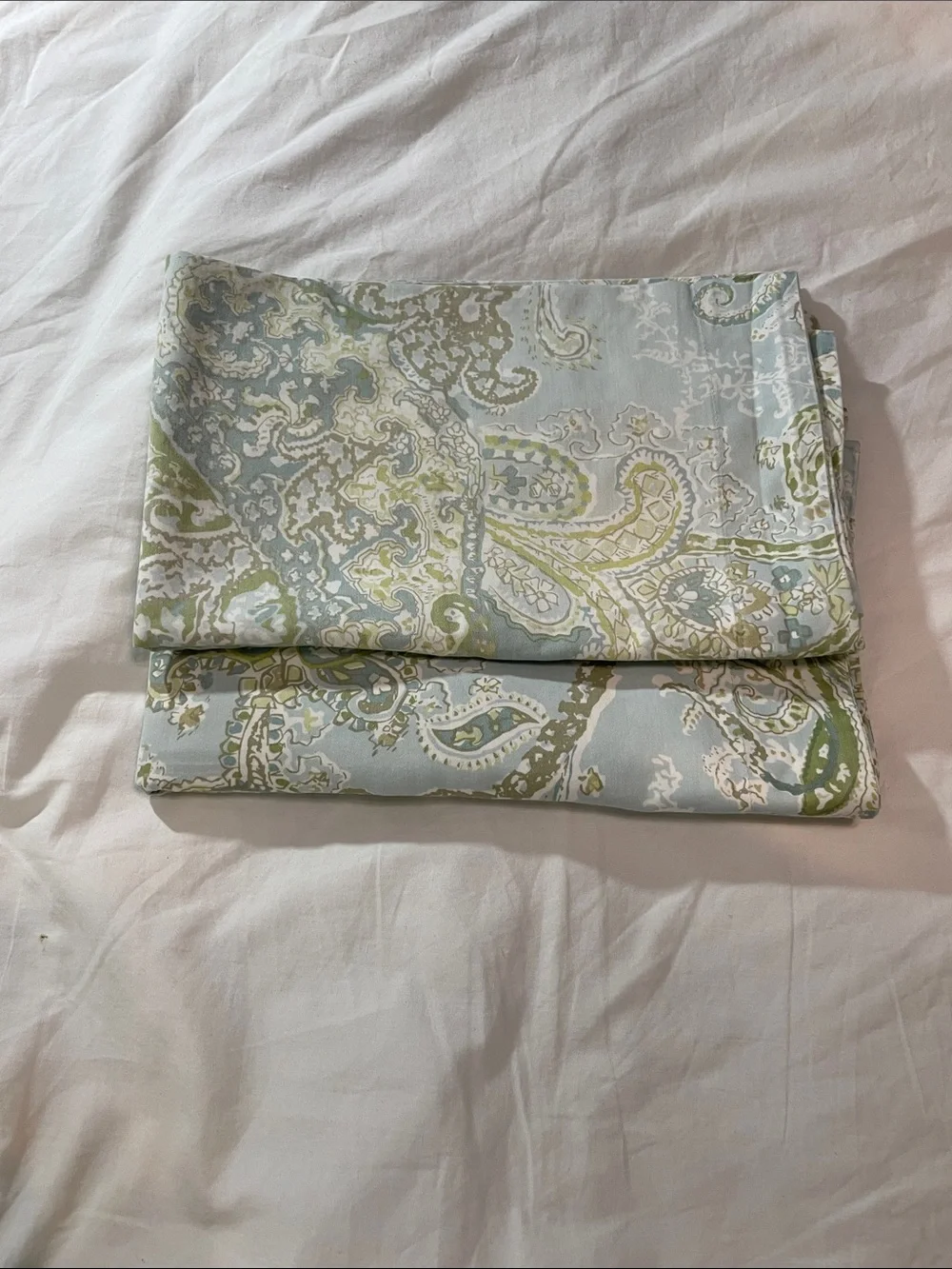 Pottery Barn 100% Cotton Blue and Green Paisley Decorative Pillow Shams